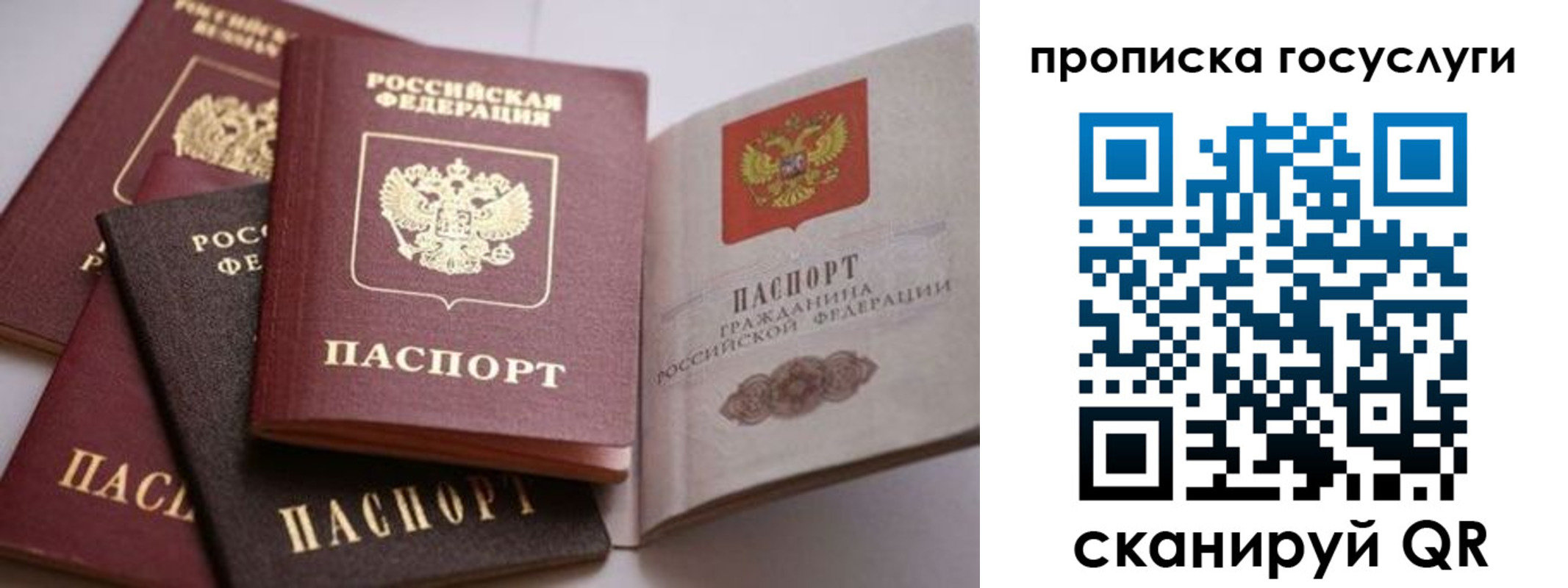 прописка штамп в Пласте